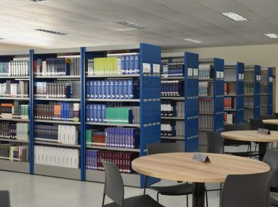 Imagem do WhatsApp de 2025-05-02 à(s) 16.39.12_a1b10fda